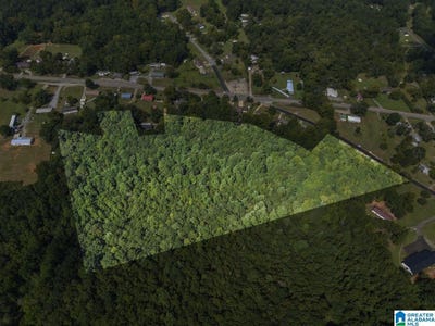 /international/us/sycamore-street-lot-1-jemison-al-110102120218/