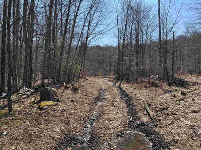 /international/us/marshall-road-lot-1-duxbury-vt-110106209668/