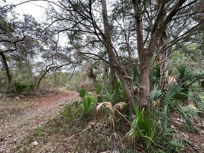 /international/us/5-lots-ingleside-pl-cedar-key-fl-110104439481/