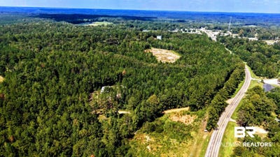 /international/us/pheasant-road-gilbertown-al-110119948271/