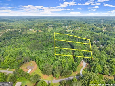 /international/us/1-yellow-creek-gainesville-ga-110108531804/