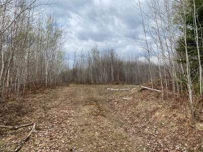 /international/us/near-wilson-lake-rd-phillips-wi-110106954215/