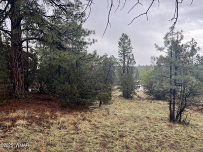 /international/us/1907-pine-top-drive-overgaard-az-110100093792/