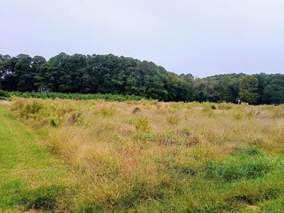 /international/us/church-neck-rd-lot-41-machipongo-va-110120499944/