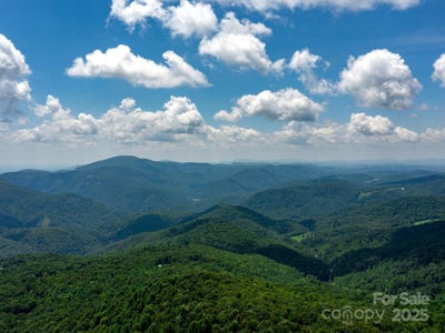/international/us/68-misty-dawn-cove-unit-13a-hendersonville-nc-110101364870/?lang=zh-tw