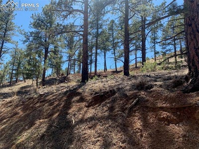 /international/us/15421-westcreek-road-woodland-park-co-110091369668/?lang=it