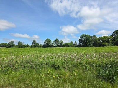/international/us/3014-county-road-n-wilson-wi-110100250263/?lang=zh-tw