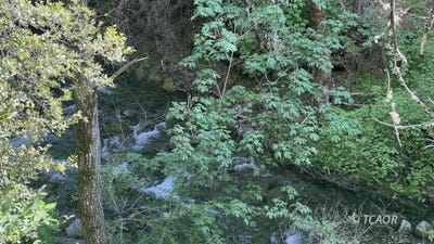 /international/us/1500-1551-reading-creek-rd-douglas-city-ca-110100317277/?lang=zh-tw