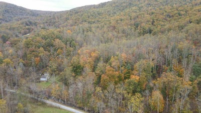 /international/us/0-north-fork-rd-93-32-acres-amherst-va-110103279210/