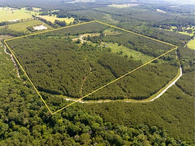 /international/us/ferguson-road-coushatta-la-110108544660/
