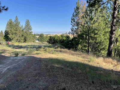 /international/us/nka-ponderosa-drive-lot-4-potlatch-id-110100983199/?lang=zh-tw
