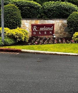 /international/us/58-leonard-ter-roseland-boro-nj-110101462764/