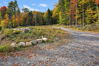 /international/us/l11-231-valentine-pond-road-pottersville-ny-110120069438/