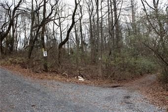 /international/us/5869-applebutter-hill-road-upper-saucon-twp-pa-110098448341/