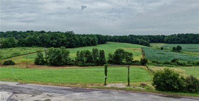 /international/us/hilltop-drive-nw-strasburg-oh-110100801407/