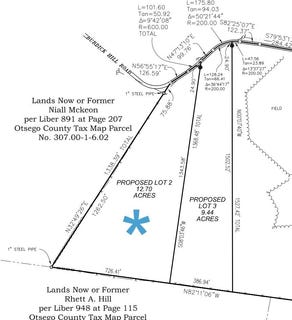 /international/us/burdick-hill-road-lot-2-otego-ny-110092023021/