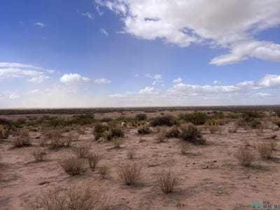 /international/us/ne-of-highway-9-road-deming-nm-110095568411/