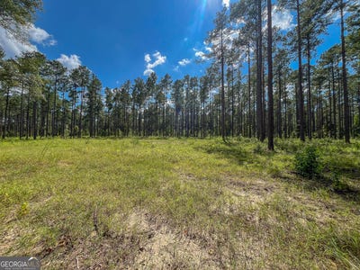 /international/us/mark-wood-road-lot-7-dexter-ga-110110220104/