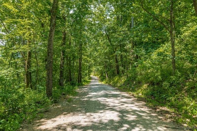 /international/us/745-coon-hollow-road-blue-creek-oh-110108439373/