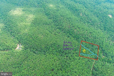 /international/us/6-1-ac-tract-21-c-south-potomac-trough-farm-ii-moorefield-wv-110100963293/?lang=zh-tw
