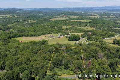 /international/us/shepherd-dr-lexington-va-110108916010/