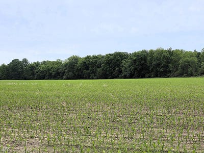 /international/us/0-n-state-road-75-north-salem-in-110108300048/