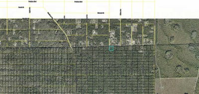 /international/us/division-street-hastings-fl-110120041670/