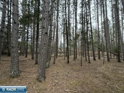 /international/us/5th-st-se-cook-mn-110108151839/