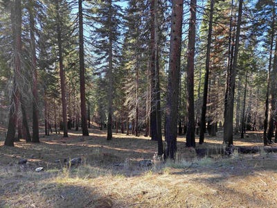 /international/us/118-goose-bay-view-trail-lot-11-lake-almanor-west-ca-110104127951/