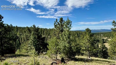 /international/us/196-beaver-creek-circle-florissant-co-110119626716/