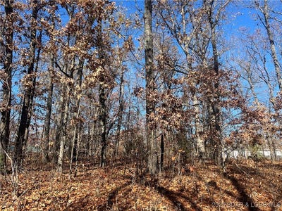 /international/us/lot-200-geranamo-lane-rocky-mount-mo-110096876493/?lang=en