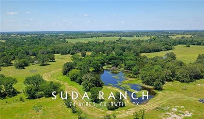 /international/us/county-road-132-74-acres-caldwell-tx-110108093170/