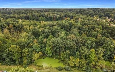 /international/us/clarkston-road-independence-twp-mi-110104123526/