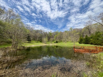 /international/us/10515-paw-paw-springs-rd-arrington-tn-110108030241/