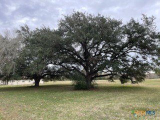 /international/us/209-tropical-drive-victoria-tx-110101214039/