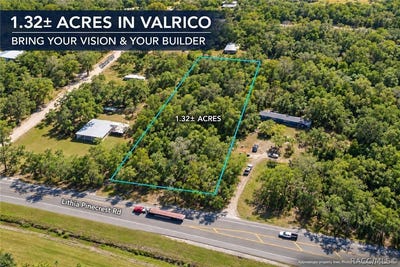/international/us/lithia-pinecrest-road-valrico-fl-110120029985/