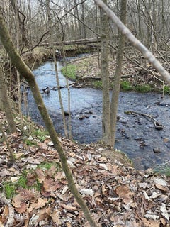 /international/us/00-williams-42-acres-surgoinsville-tn-110091563569/?lang=zh-tw
