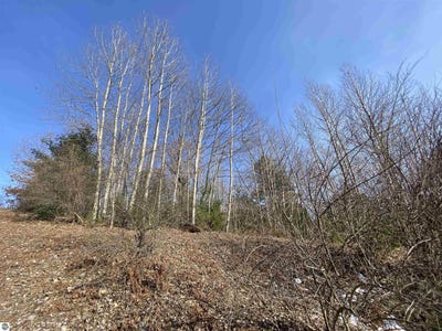/international/us/lot-34-scenic-hills-drive-williamsburg-mi-110096889026/?lang=en