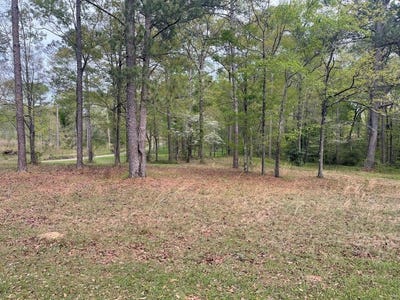 /international/us/glenwood-kinsey-al-110106101987/