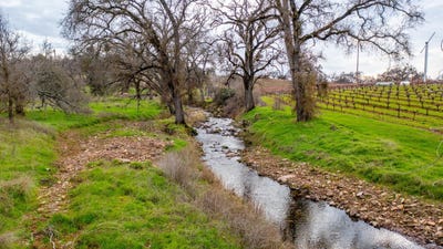 /international/us/19944-shenandoah-school-rd-plymouth-ca-110101873154/