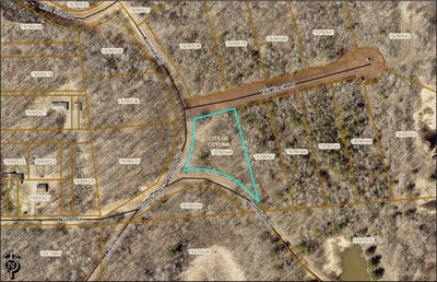 /international/us/1-03-acres-lot-11-block-3-tail-track-lane-deerwood-mn-110109476127/