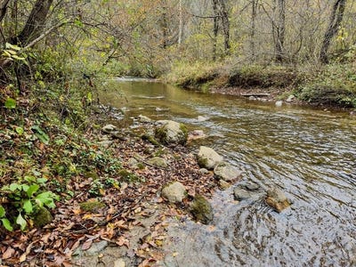 /international/us/hoot-hollow-rd-lot-155-a-2-cana-va-110106308356/