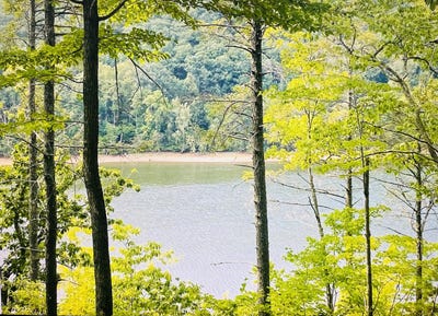 /international/us/greenberry-dr-lot-119-pittsville-va-110102261361/