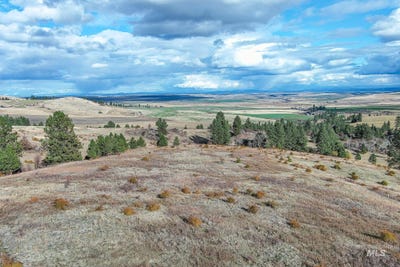/international/us/tbd-over-yonder-road-cottonwood-id-110100374334/