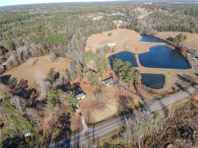 /international/us/16414-highway-11-vance-al-110109748810/