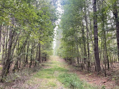 /international/us/00-blackberry-ridge-road-vance-al-110094792995/