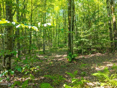 /international/us/135-dragoo-road-maryland-ny-110101057638/?lang=zh-cn