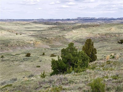 /international/us/davis-road-miles-city-mt-110107027473/