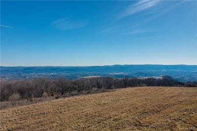 /international/us/1297-route-343-dover-plains-ny-110108198529/
