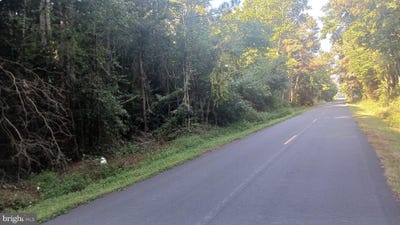 /international/us/33009-longridge-road-parsonsburg-md-110119765832/